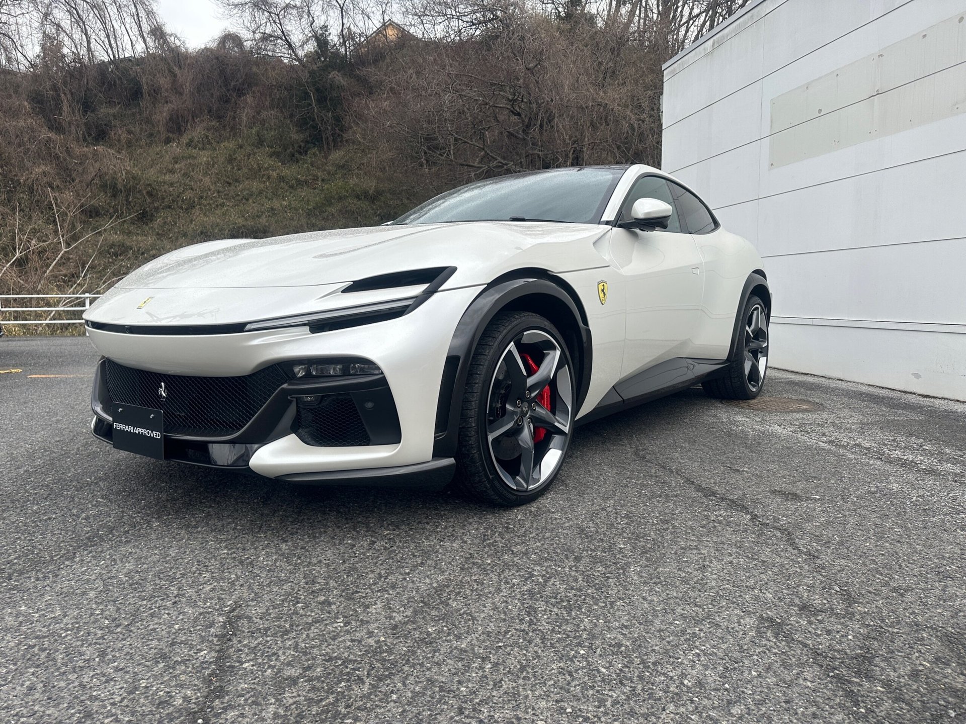 FERRARI PUROSANGUE - View 1