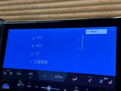 2023 TOYOTA ALPHARD 缩略图 72
