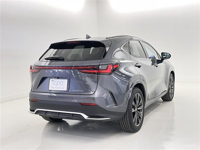 2023 Lexus NX 缩略图 18