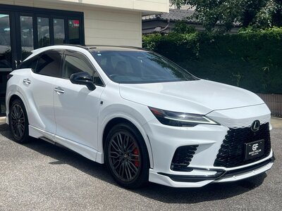 LEXUS RX - 7