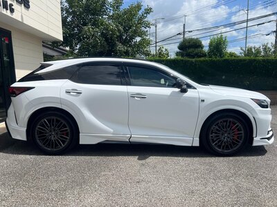 LEXUS RX - 10
