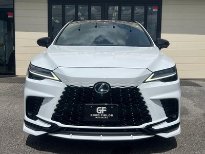 LEXUS RX - 8