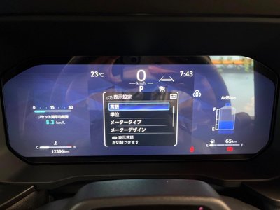 2024 Toyota LAND CRUISER 250 — миниатюра 49