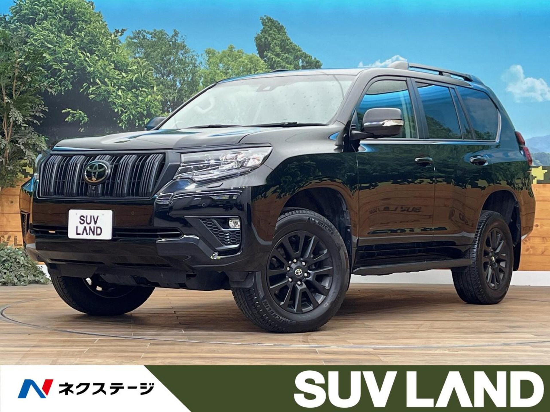 TOYOTA LAND CRUISER PRADO - View 1
