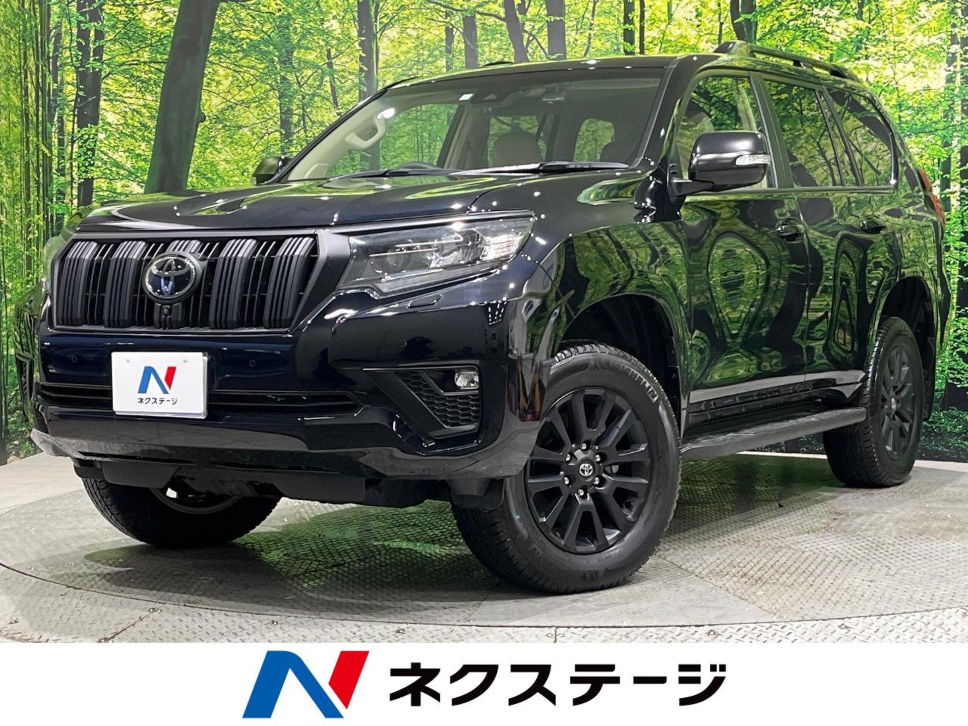 TOYOTA LAND CRUISER PRADO - View 1