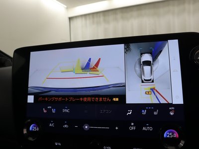 2022 Lexus NX 缩略图 16