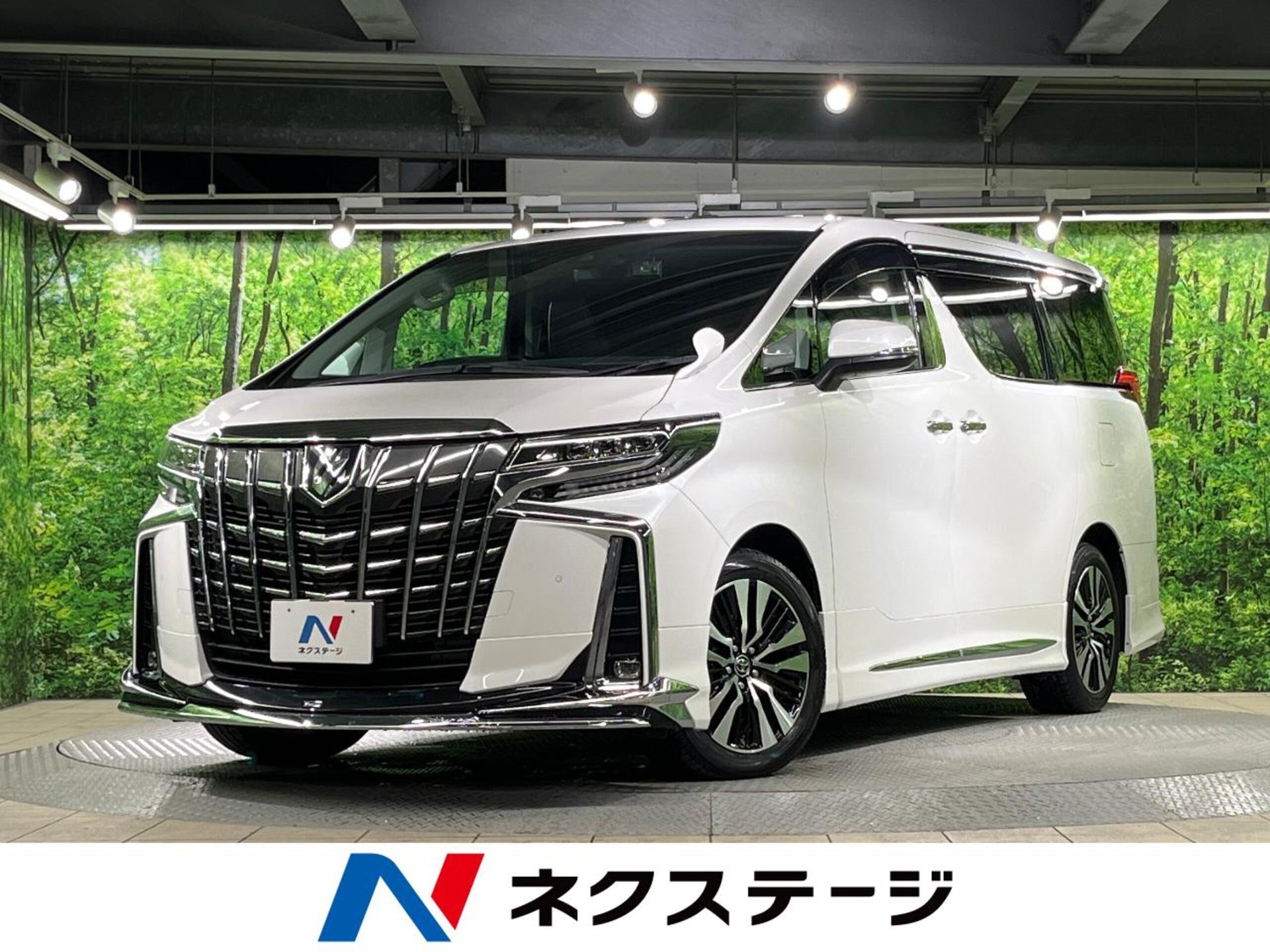 TOYOTA ALPHARD - View 1