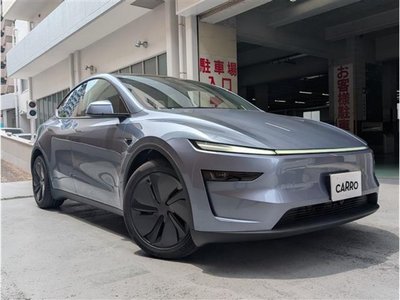 TESLA MODEL Y - 1