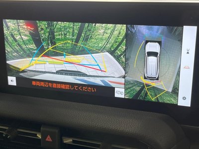 2025 Toyota LAND CRUISER 250 照片 5