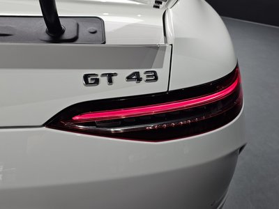 2020 Mercedes-BENZ GT AMG 照片 10