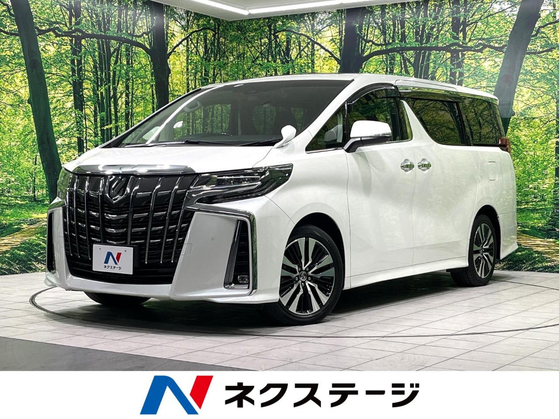 TOYOTA ALPHARD - View 1
