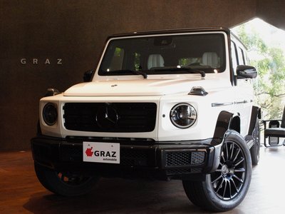 MERCEDES-BENZ G-CLASS - 1