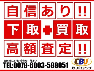 2023 Toyota ALPHARD 缩略图 38