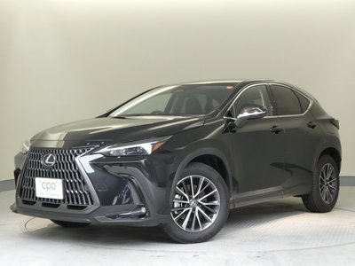 LEXUS NX - 1