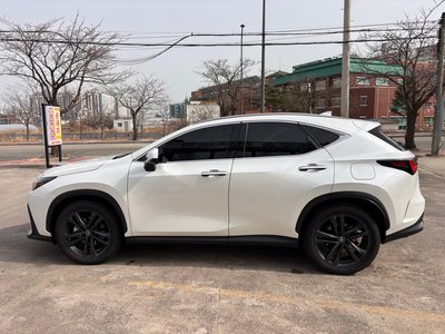 2024 Lexus NX — миниатюра 18