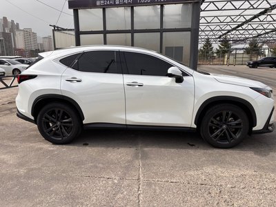 2024 Lexus NX — миниатюра 17