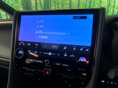 2025 Toyota ALPHARD thumbnail 57