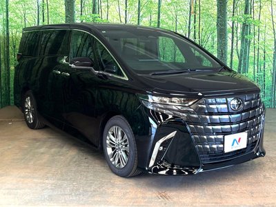 2025 Toyota ALPHARD thumbnail 18