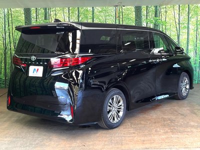 2025 Toyota ALPHARD thumbnail 19