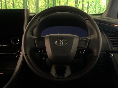 2025 Toyota ALPHARD thumbnail 13