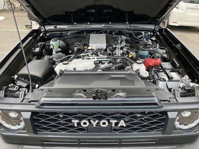 2025 Toyota LAND CRUISER 70 — фото 10