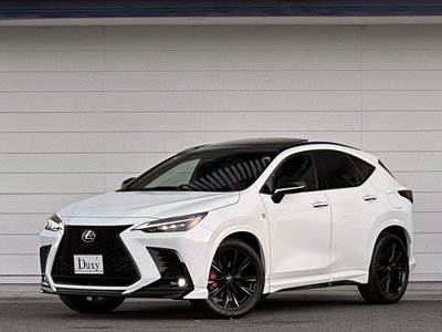 LEXUS NX - 6