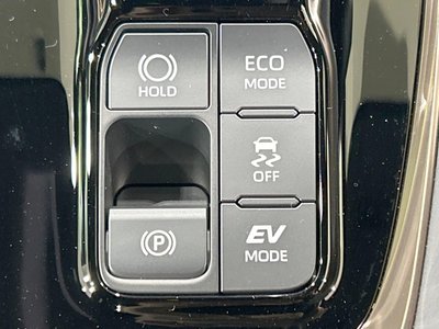 2024 TOYOTA ALPHARD 缩略图 25