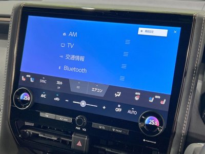 2024 TOYOTA ALPHARD 缩略图 60