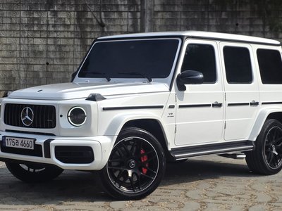 MERCEDES-BENZ G-CLASS - 4