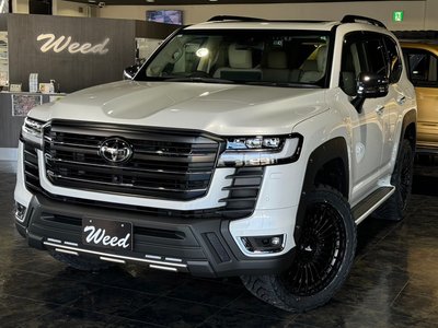 TOYOTA LAND CRUISER 300 - 6