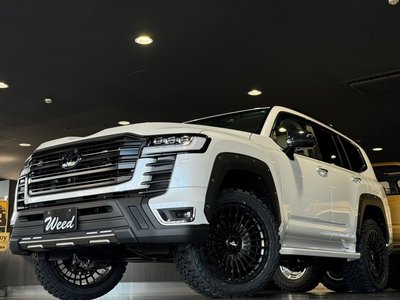 TOYOTA LAND CRUISER 300 - 3