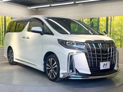 TOYOTA ALPHARD - 9