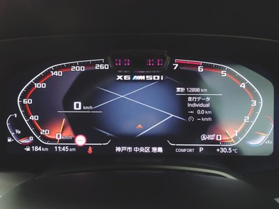 2021 BMW X6 缩略图 14