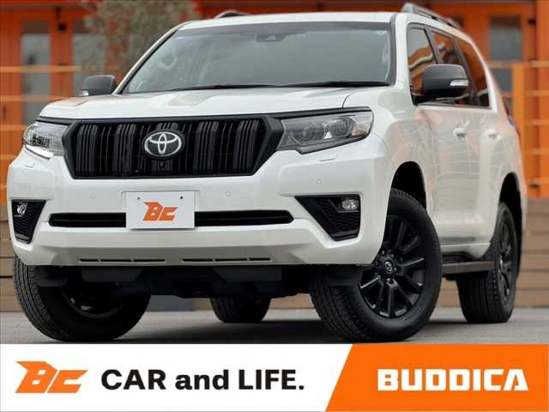 TOYOTA LAND CRUISER PRADO - View 1