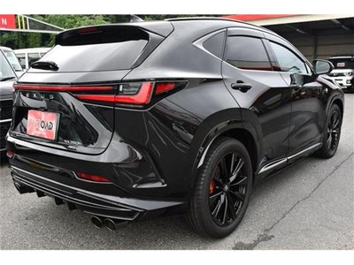 2025 Lexus NX — миниатюра 19