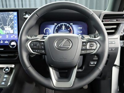 2025 Lexus GX 缩略图 17