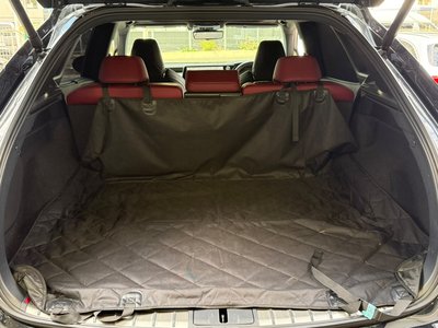 LEXUS RX - 10