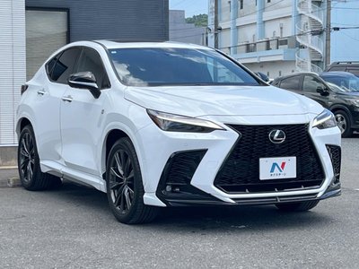2024 Lexus NX 缩略图 22