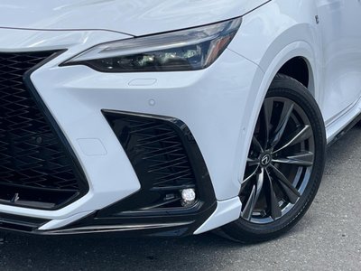 2024 Lexus NX 缩略图 14