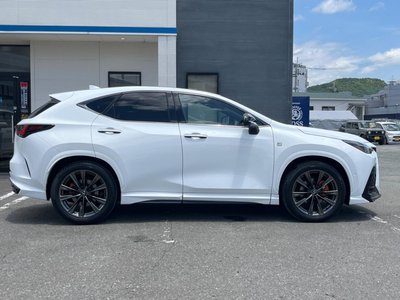 2024 Lexus NX 缩略图 25