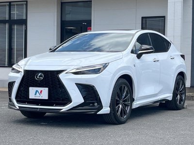 2024 Lexus NX 照片 3