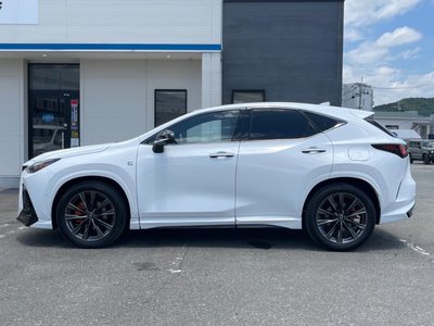 2024 Lexus NX 缩略图 29