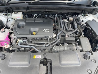 2024 Lexus NX 缩略图 18