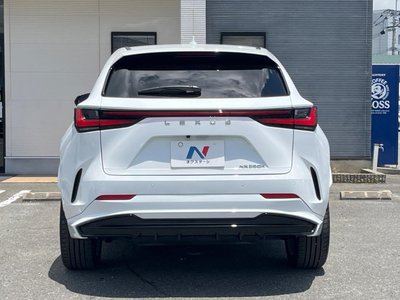2024 Lexus NX 缩略图 17
