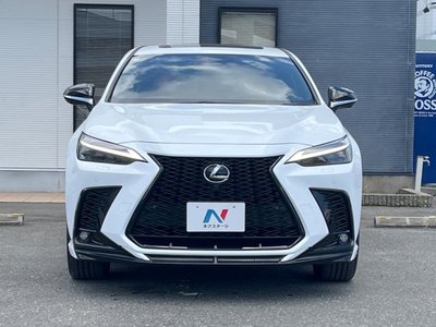 2024 Lexus NX 缩略图 16