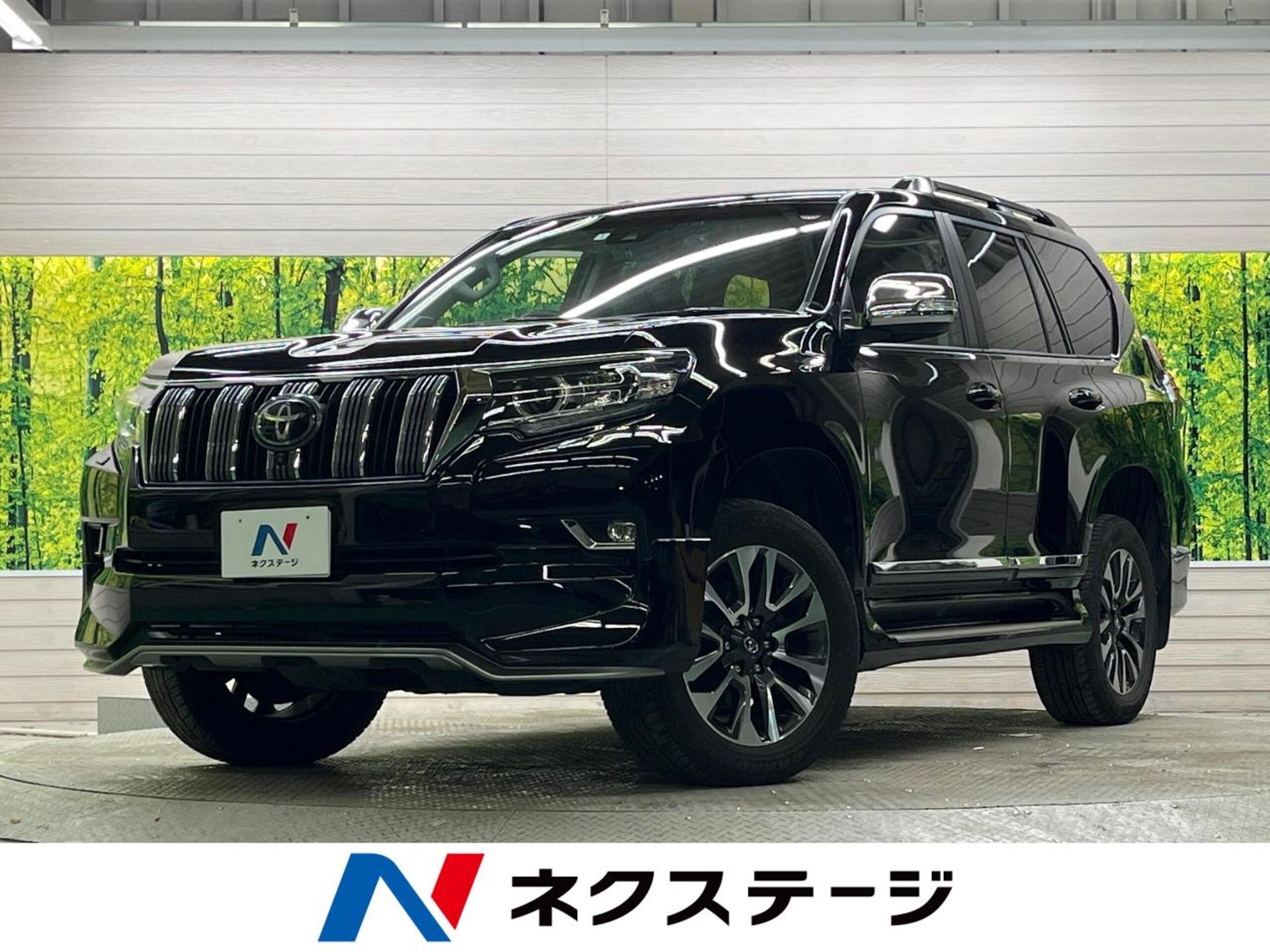 TOYOTA LAND CRUISER PRADO - View 1