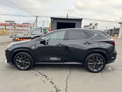 LEXUS NX - 8