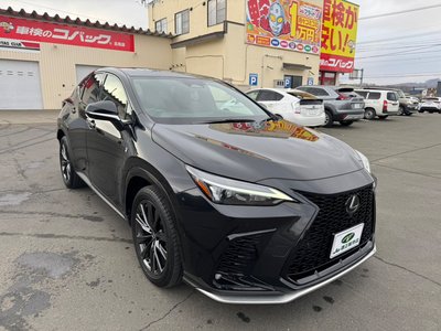 LEXUS NX - 3