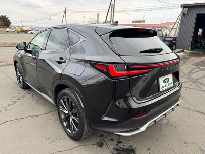 LEXUS NX - 7
