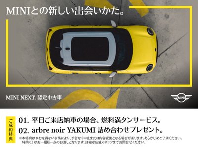 MINI CONVERTIBLE - 2